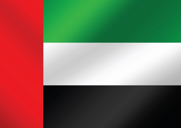 https://coredogroup.website/wp-content/uploads/2025/06/the-united-arab-emirates-flag-themes-1588673796kap.jpg